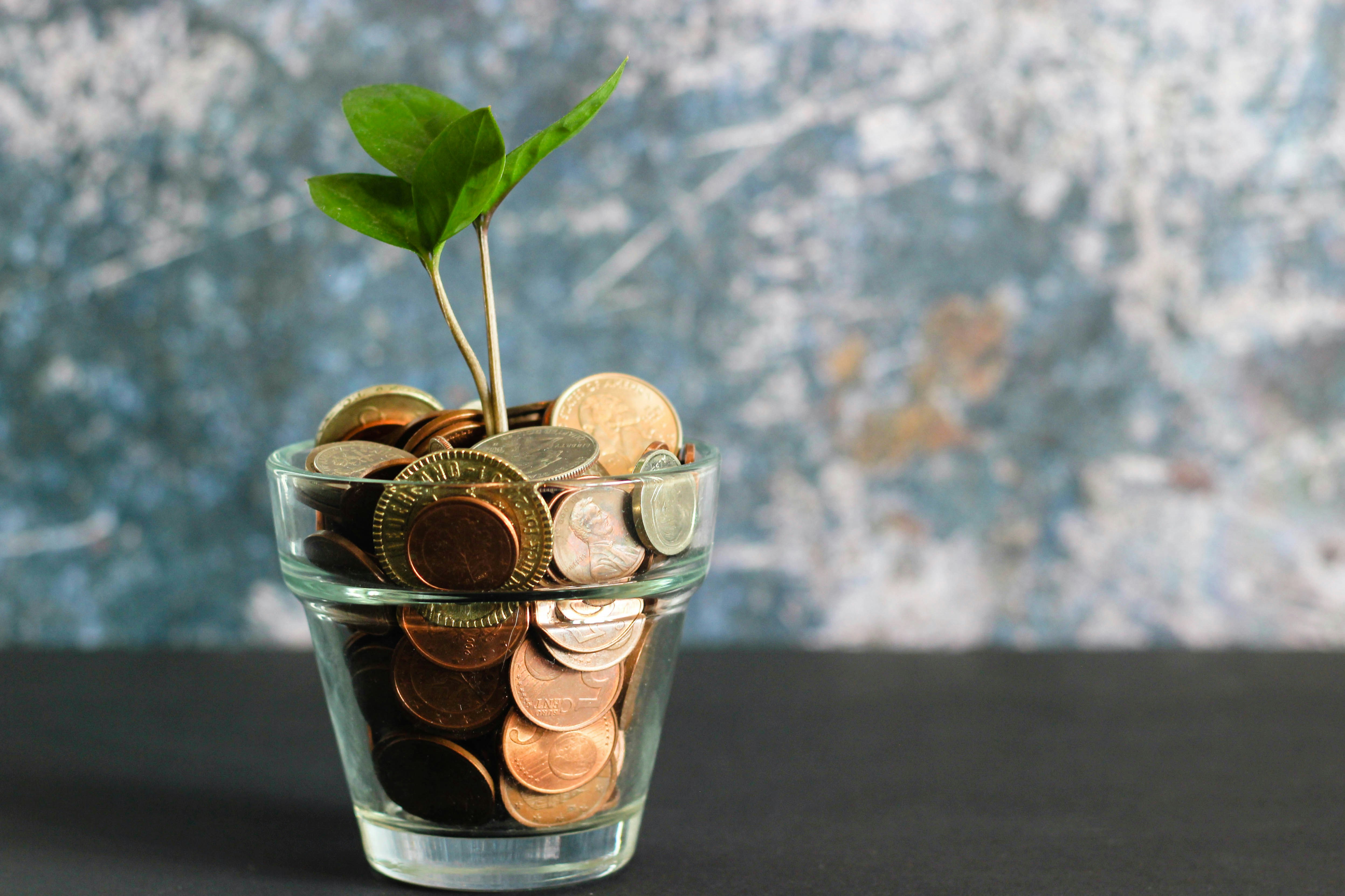 Should Founders Bootstrap Their Business or Seek Outside Funding From Day One?